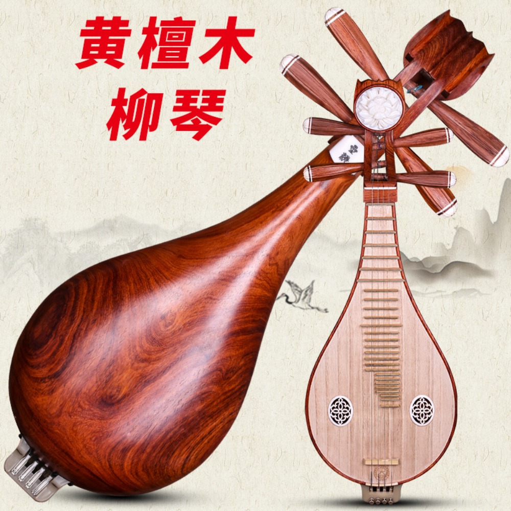 Пекинский синьхайский музыкаль – обзор и цена Musical Instrument ____
